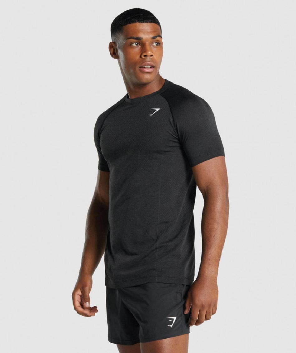 T Shirts Męskie Gymshark Vital Light Seamless Czarne | PL 3828LIS